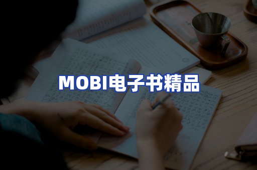 外文电子书产品